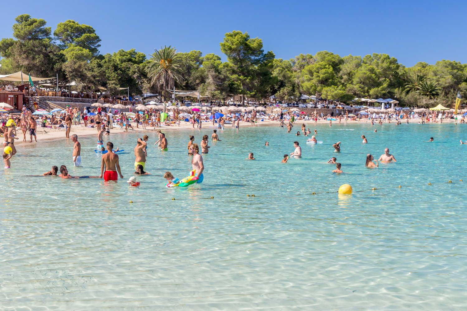 Der Strand Cala Bassa Ibiza Spotlight 0853